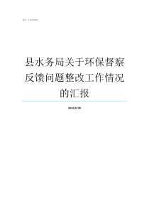 县水务局关于环保督察反馈问题整改工作情况的汇报县中央环保督察反馈