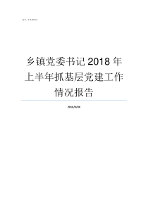 乡镇党委书记2018年上半年抓基层党建工作情况报告