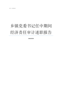 乡镇党委书记任中期间经济责任审计述职报告乡镇党委书记什么级别