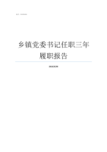 乡镇党委书记任职三年履职报告党委书记任职规定