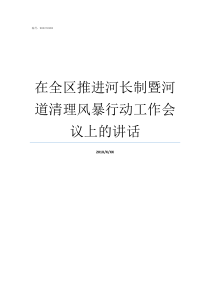 在全区推进河长制暨河道清理风暴行动工作会议上的讲话河长制工作推进会