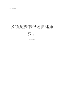 乡镇党委书记述责述廉报告