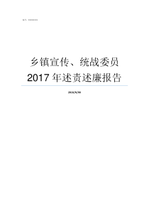 乡镇宣传统战委员2017年述责述廉报告