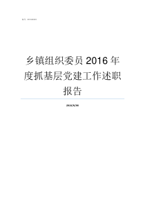 乡镇组织委员2016年度抓基层党建工作述职报告