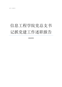 信息工程学院党总支书记抓党建工作述职报告