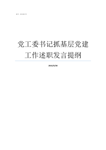 党工委书记抓基层党建工作述职发言提纲