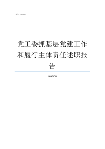 党工委抓基层党建工作和履行主体责任述职报告