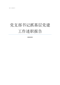 党支部书记抓基层党建工作述职报告党组织书记抓党建工作