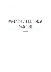 某河段河长制工作进展情况汇报以河长制工作为