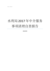 水利局2017年中介服务事项清理自查报告