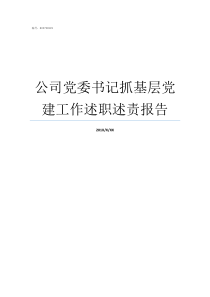 公司党委书记抓基层党建工作述职述责报告