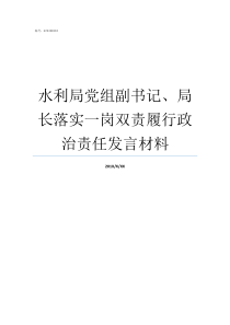 水利局党组副书记局长落实一岗双责履行政治责任发言材料