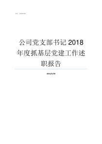 公司党支部书记2018年度抓基层党建工作述职报告公司的党支部书记有什么用