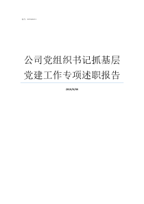 公司党组织书记抓基层党建工作专项述职报告党组织书记抓基层思想