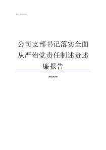 公司支部书记落实全面从严治党责任制述责述廉报告支部书记