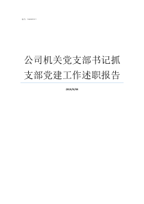 公司机关党支部书记抓支部党建工作述职报告机关党支部书记要求