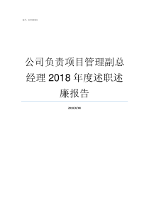 公司负责项目管理副总经理2018年度述职述廉报告