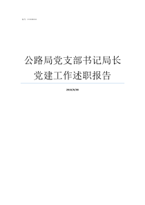 公路局党支部书记局长党建工作述职报告许振刚局长兼党支部书记