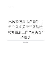 水污染防治工作领导小组办公室关于开展纳污坑塘整治工作回头看的意见如何做好水污染防治工作