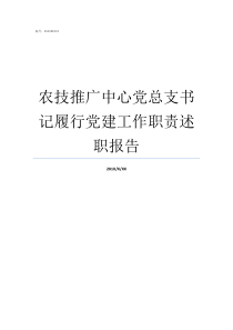 农技推广中心党总支书记履行党建工作职责述职报告