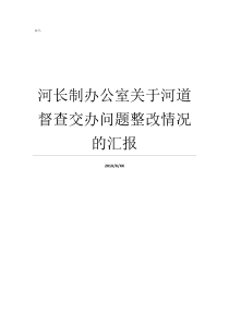 河长制办公室关于河道督查交办问题整改情况的汇报