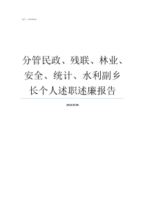 分管民政残联林业安全统计水利副乡长个人述职述廉报告民政好还是残联好