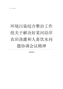 环境污染综合整治工作组关于解决好某河沿岸农田浇灌和人畜饮水问题协调会议精神环境污染问题的整治