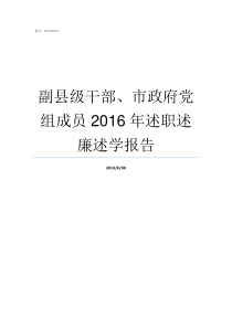 副县级干部市政府党组成员2016年述职述廉述学报告县级非党干部使用