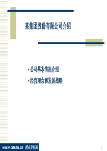 某集团股份公司情况介绍与经营理念