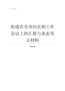 街道在全市河长制工作会议上的汇报与表态发言材料街道河长制办公室