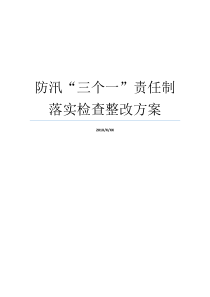 防汛三个一责任制落实检查整改方案包保责任制五种防汛责任制