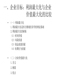 企业价值、投资估价与财务评价