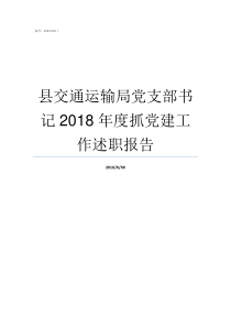 县交通运输局党支部书记2018年度抓党建工作述职报告