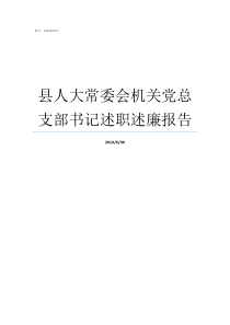 县人大常委会机关党总支部书记述职述廉报告