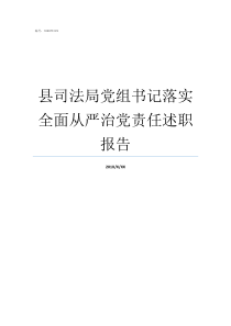 县司法局党组书记落实全面从严治党责任述职报告司法局党组书记和局长