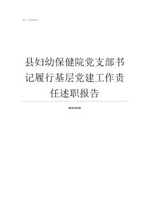 县妇幼保健院党支部书记履行基层党建工作责任述职报告