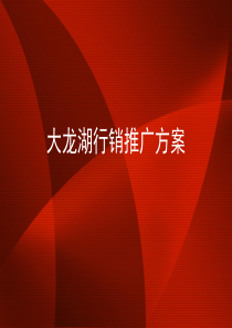 某水街商业地产项目营销推广方案