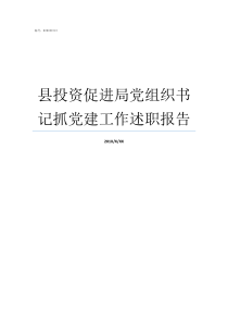 县投资促进局党组织书记抓党建工作述职报告党组织组织化