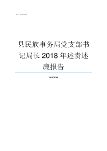 县民族事务局党支部书记局长2018年述责述廉报告