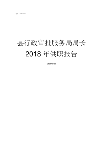 县行政审批服务局局长2018年供职报告行政审批局局长级别