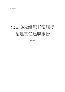 史志办党组织书记履行党建责任述职报告机关党组织书记