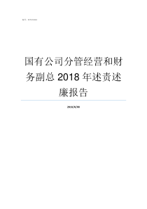 国有公司分管经营和财务副总2018年述责述廉报告七大正国级常委分管