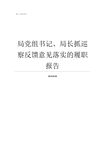 局党组书记局长抓巡察反馈意见落实的履职报告