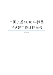 市国资委2018年抓基层党建工作述职报告