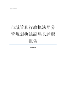 市城管和行政执法局分管规划执法副局长述职报告