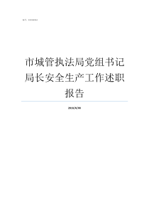 市城管执法局党组书记局长安全生产工作述职报告