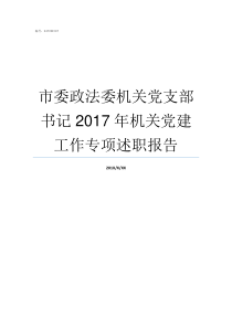 市委政法委机关党支部书记2017年机关党建工作专项述职报告