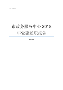 市政务服务中心2018年党建述职报告