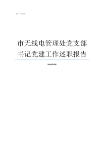 市无线电管理处党支部书记党建工作述职报告