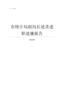 市统计局副局长述责述职述廉报告统计局副局长什么级别